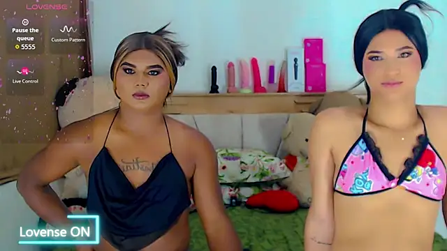 party_duo_trans webcam