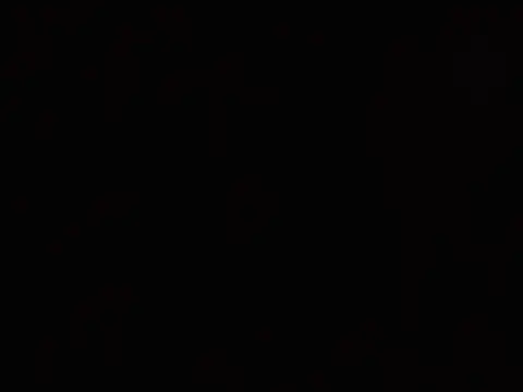 KiddycatX02 webcam