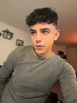 aronnhidden webcam