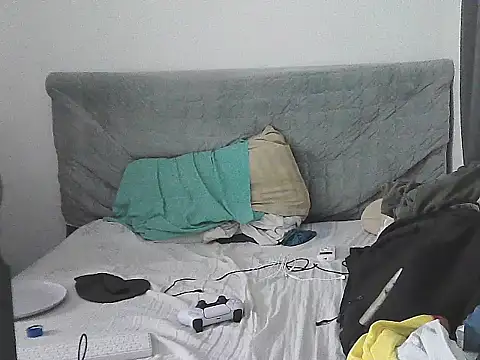 IronSideBear webcam