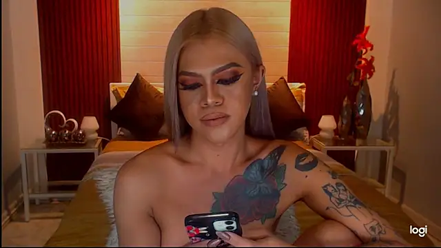 StellaStrong30 webcam