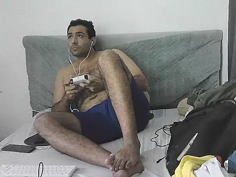 IronSideBear webcam