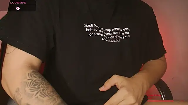 BjornSteel webcam