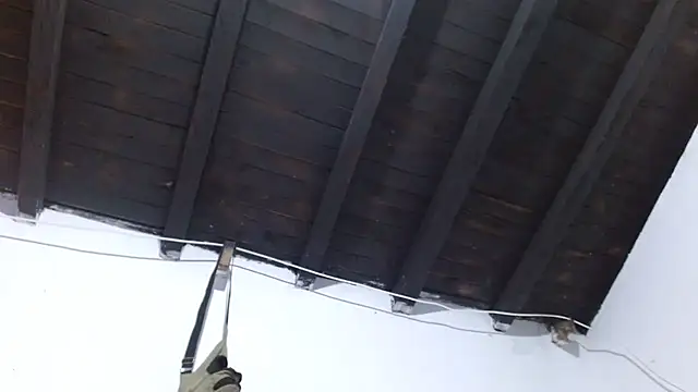 sk8-sir webcam