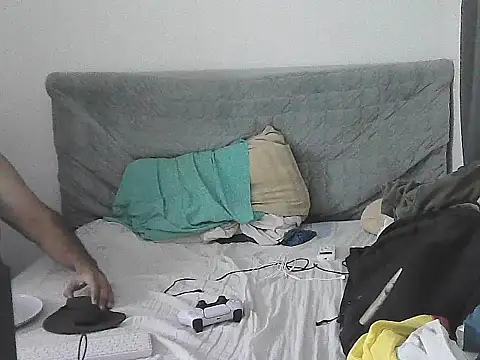 IronSideBear webcam