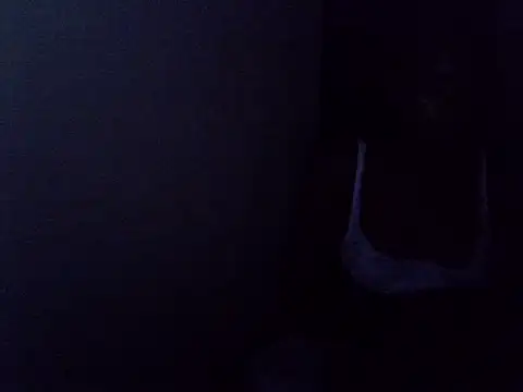 Petitesin webcam