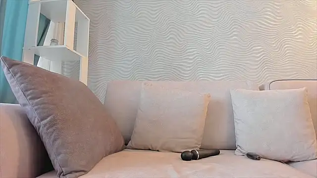 SageFrommer webcam