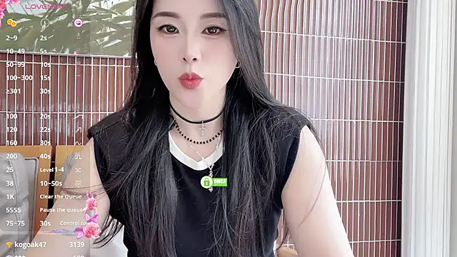 Kaixin520 webcam