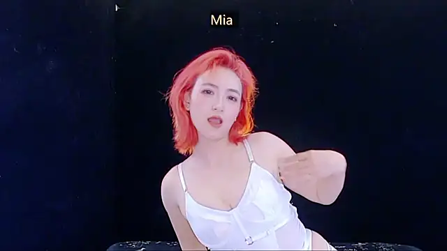 MiNi-U webcam
