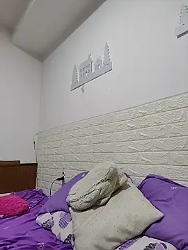 ParevePay webcam