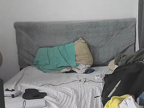 IronSideBear live cam on StripChat