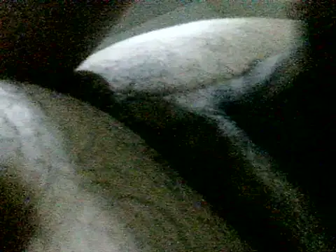 LuispingonX69 webcam