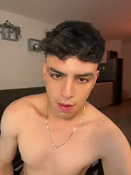aronnhidden webcam