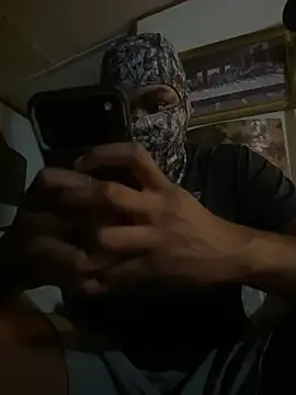 Midnight_gator webcam