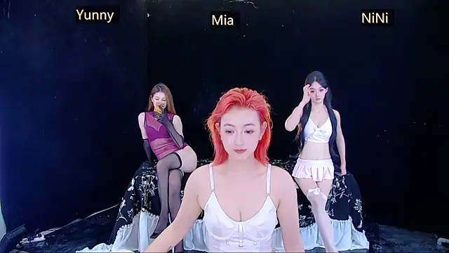 MiNi-U webcam