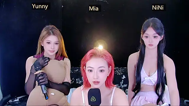 MiNi-U webcam