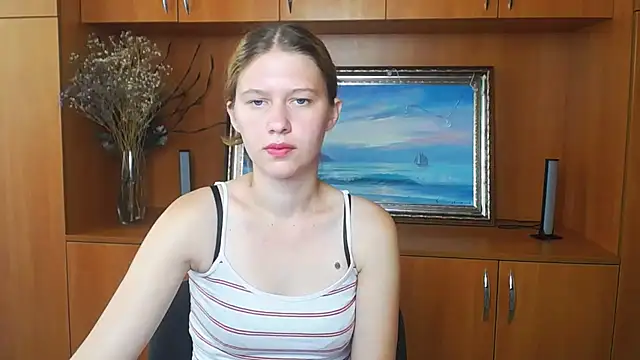 StellaCRL webcam