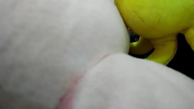 ErlinaBuoy webcam