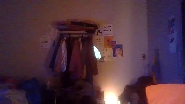 plsmecha webcam