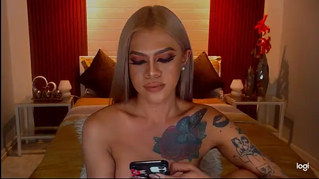 StellaStrong30 webcam