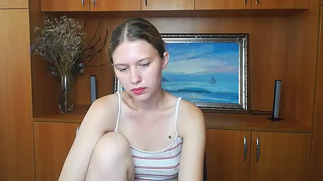 StellaCRL webcam