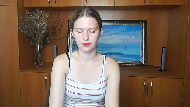 StellaCRL webcam