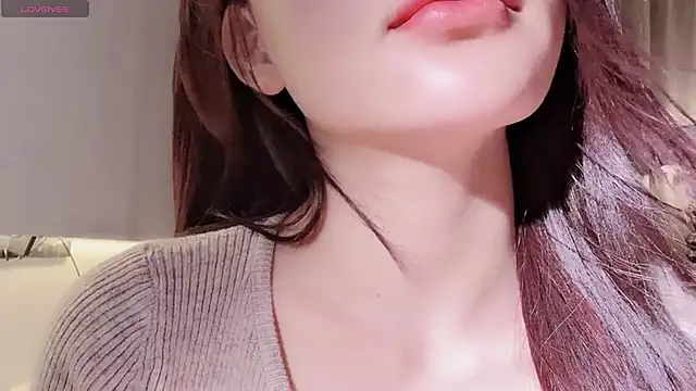 lvy-w webcam