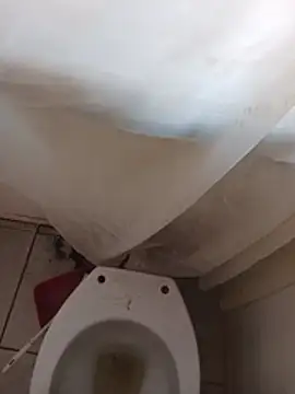 BunkedDruthers webcam
