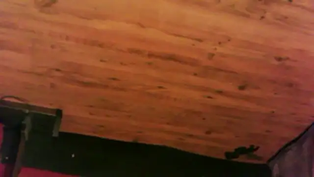 0815lukas2024 webcam