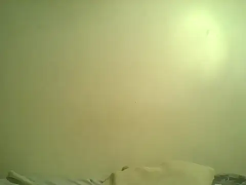 DelteAfriq webcam