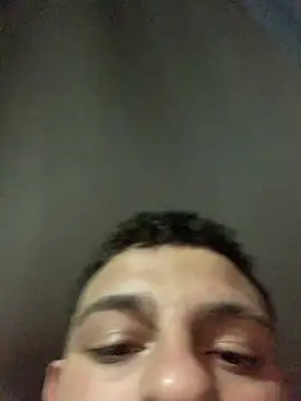 o-theus webcam