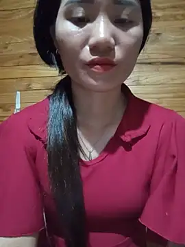 Td3di webcam
