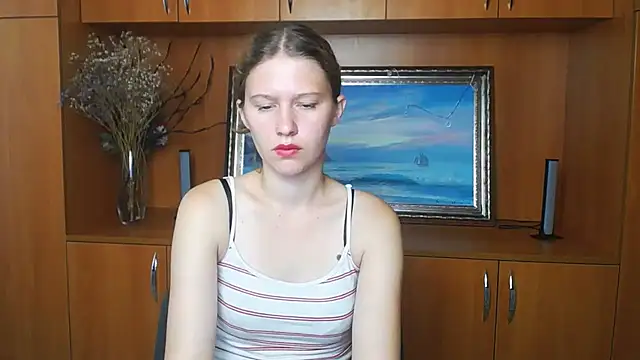 StellaCRL webcam