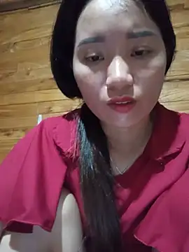 Td3di webcam