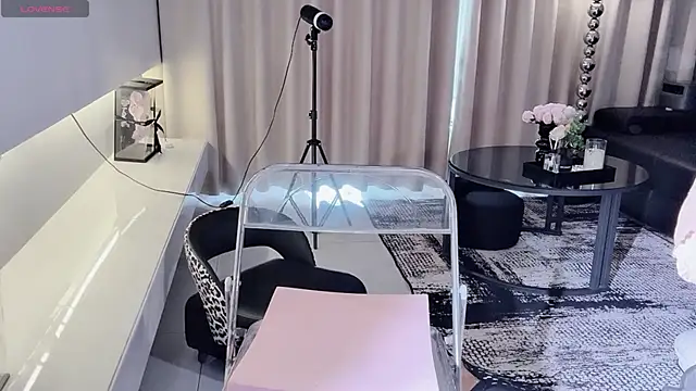 lvy-w webcam