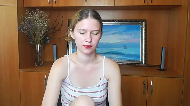 StellaCRL webcam