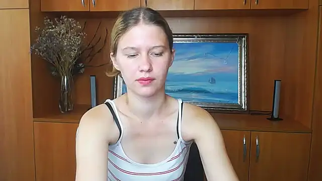 StellaCRL webcam