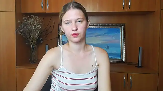 StellaCRL webcam