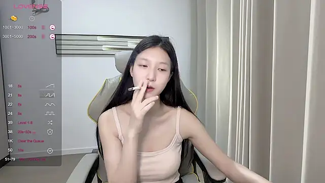 yy-1314 webcam