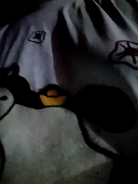 -Tara-a webcam
