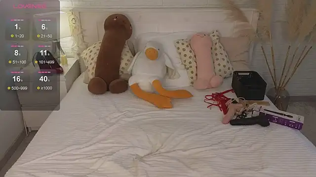 Mira_Falls webcam