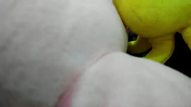 ErlinaBuoy webcam