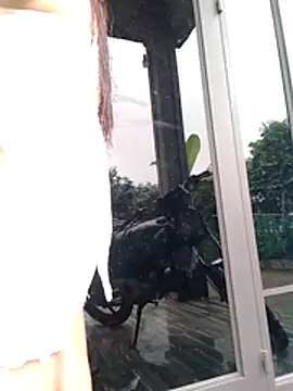 Zara-bebe webcam