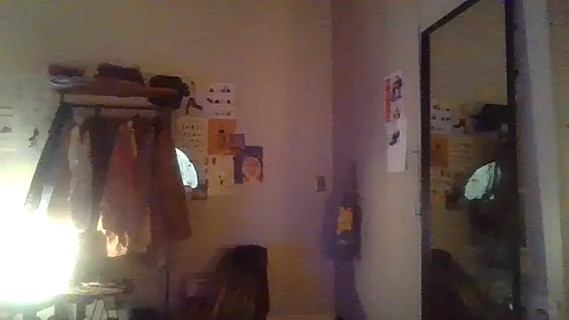 plsmecha webcam