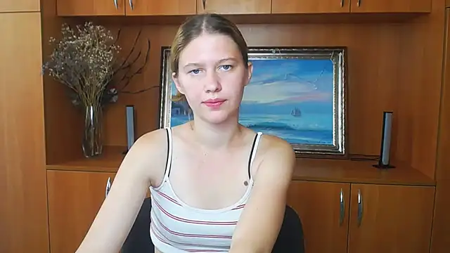 StellaCRL webcam