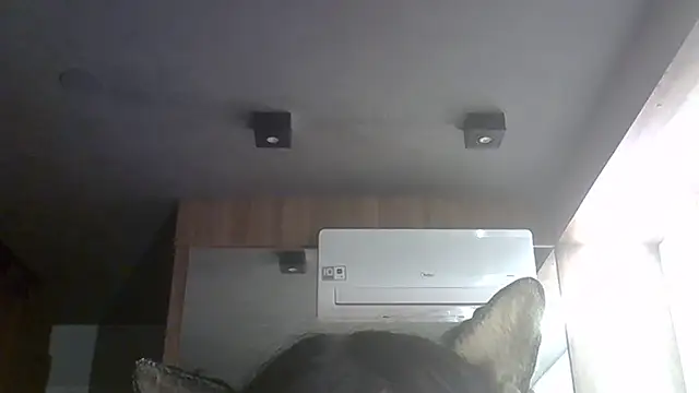 SkinnyKitten webcam