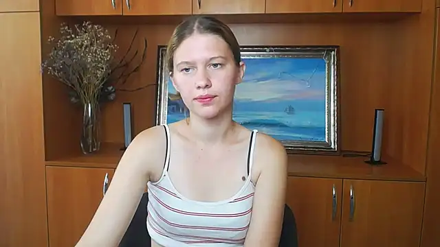 StellaCRL webcam