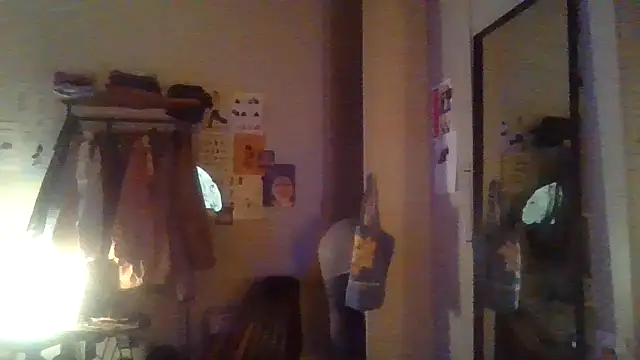 plsmecha webcam