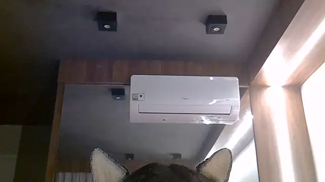 SkinnyKitten live cam on StripChat