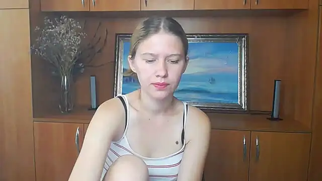 StellaCRL webcam